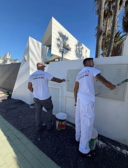 Todo en Pintura!